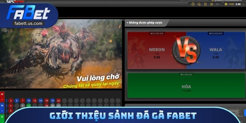 Giới thiệu sảnh đá gà FABET